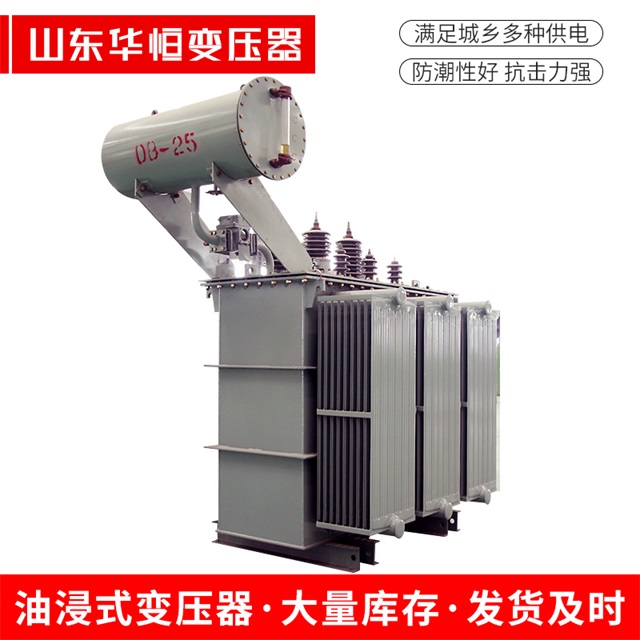 S11-10000/35龙州龙州龙州电力变压器厂家