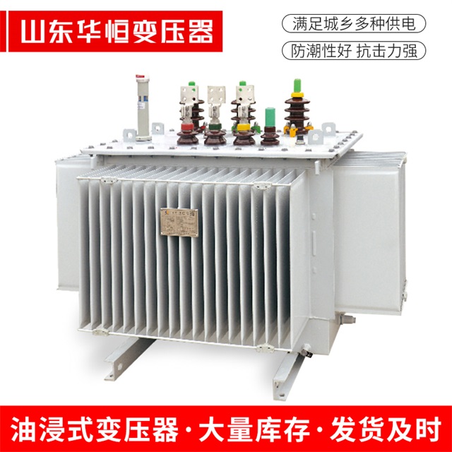 S13-10000/35龙州龙州龙州电力变压器